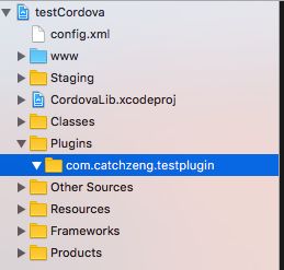 基于Cordova開發(fā)iOS應用 插件開發(fā)與應用軟件構建全攻略