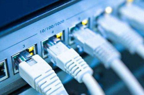 家庭與企業寬帶選擇指南 主流網絡服務提供商盤點